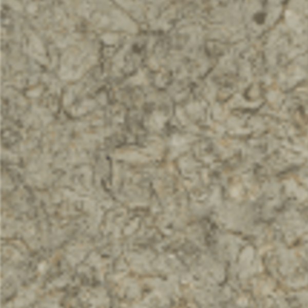 Shell Stone Beige